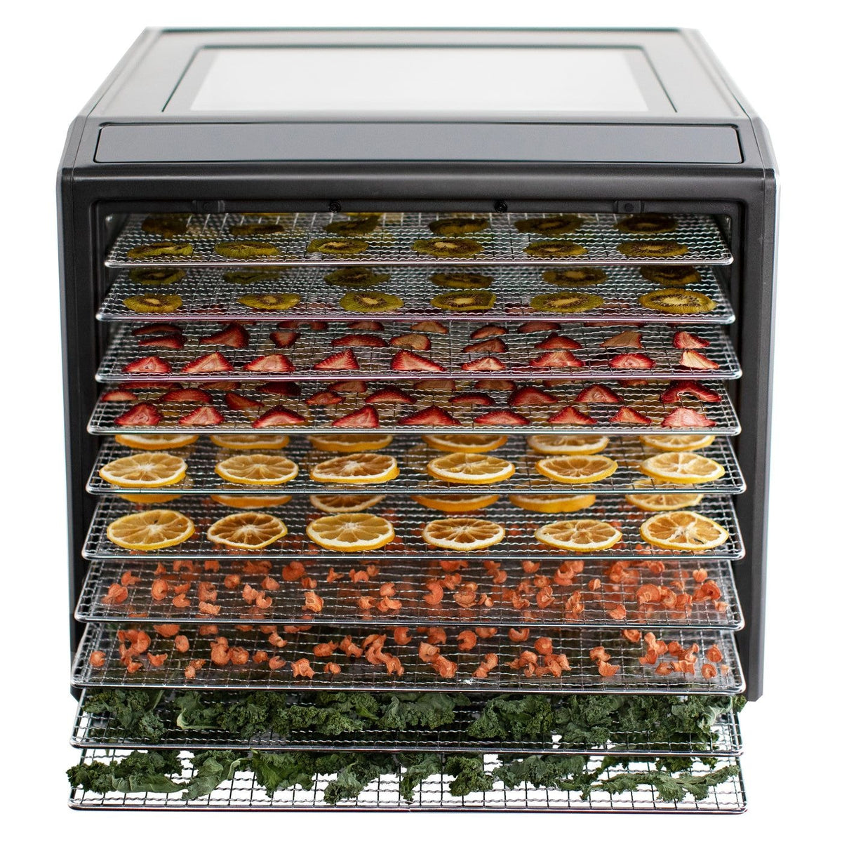 Performance Series 10-Tray Food Dehydrator, Steel, 700W, Stainless Steel, Black L6H0 - product image 4