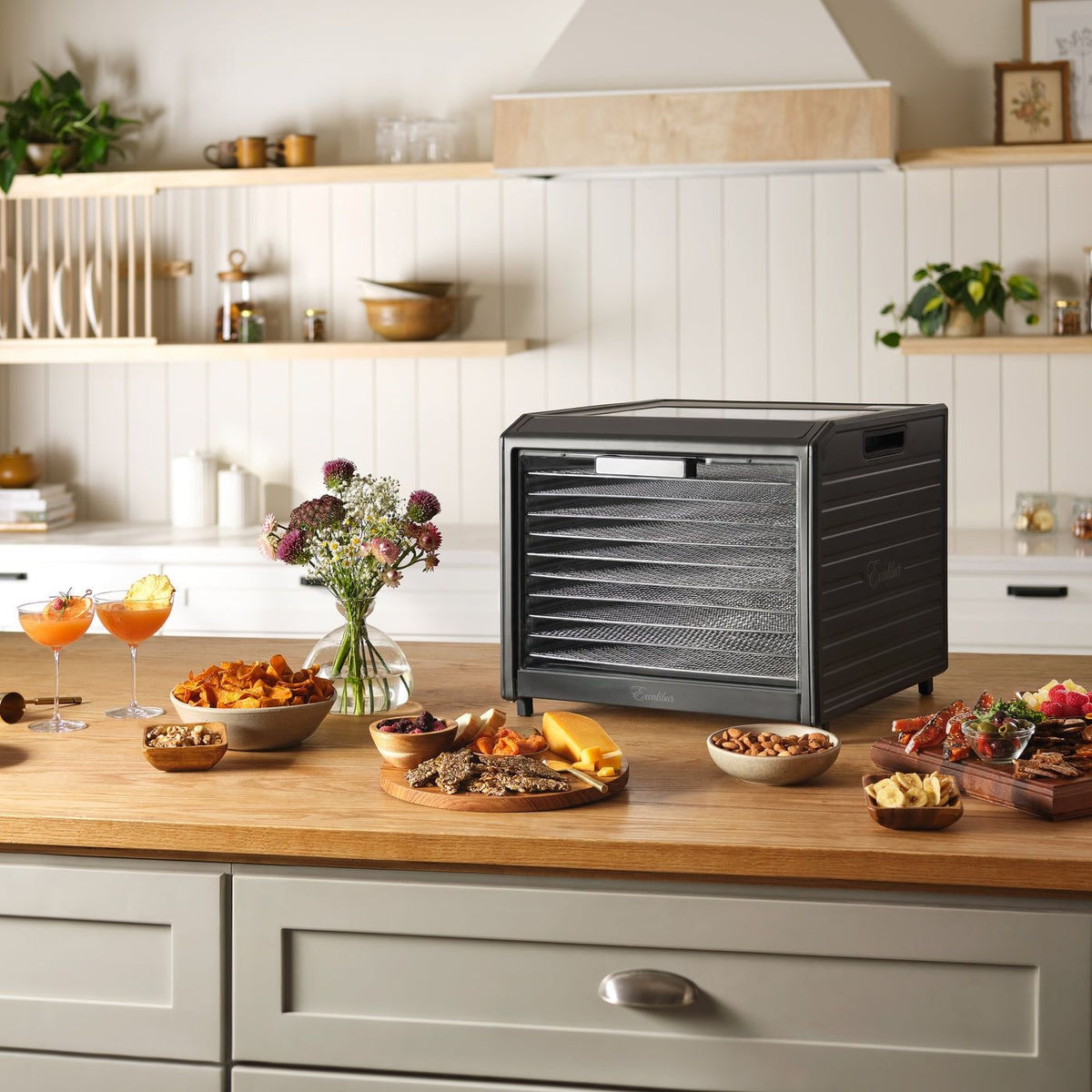 Performance Series 10-Tray Food Dehydrator, Steel, 700W, Stainless Steel, Black L6H0 - product image 8