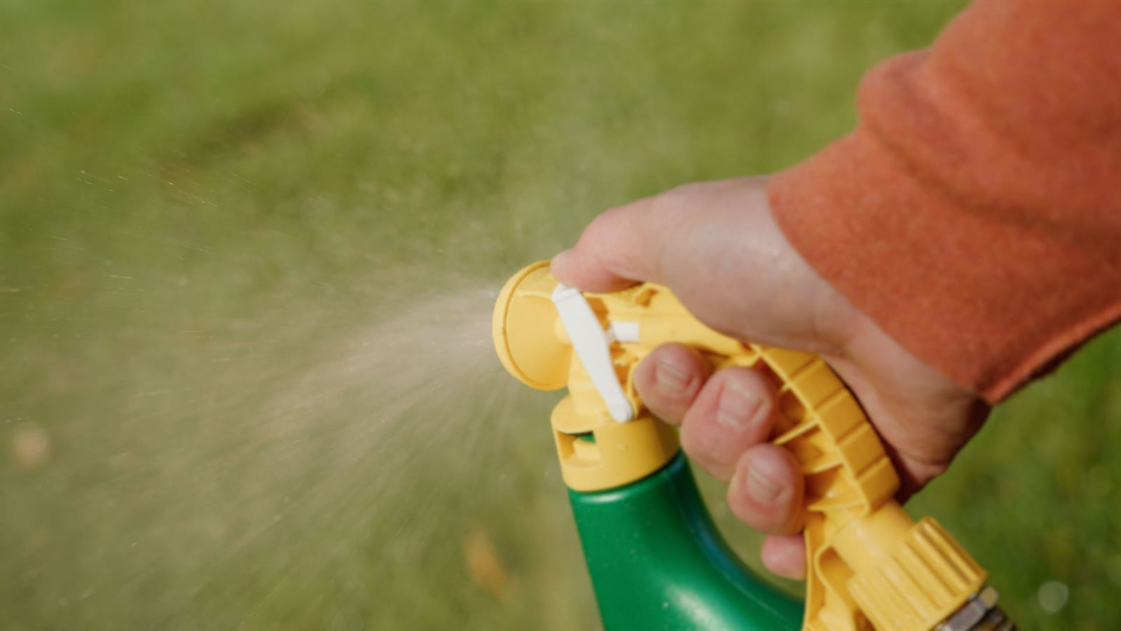 Weed B Gon MAX Ready-to-Spray Weed Control/Killer Concentrate, Herbicide for Lawns, 1-L Y2R7 - product image 6