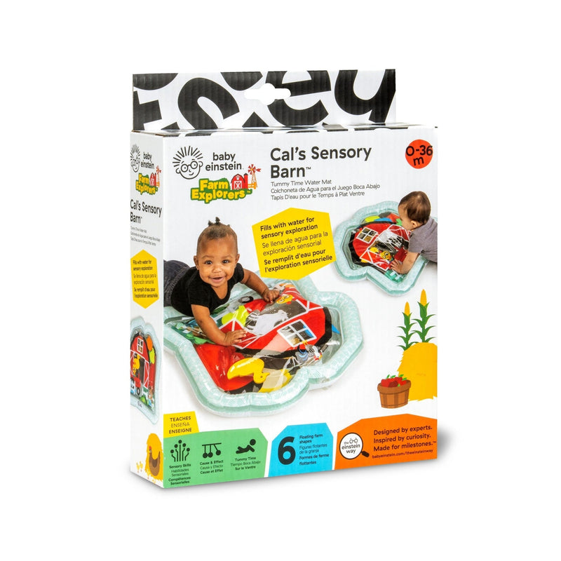 Baby Einstein Cal's Sensory Barn Tummy Time Water Mat Y1V1