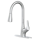 Clarivo 2-in-1 Filtration 1-Handle Pull Down Kitchen Faucet, Various Finishes M7D1 - product image 1