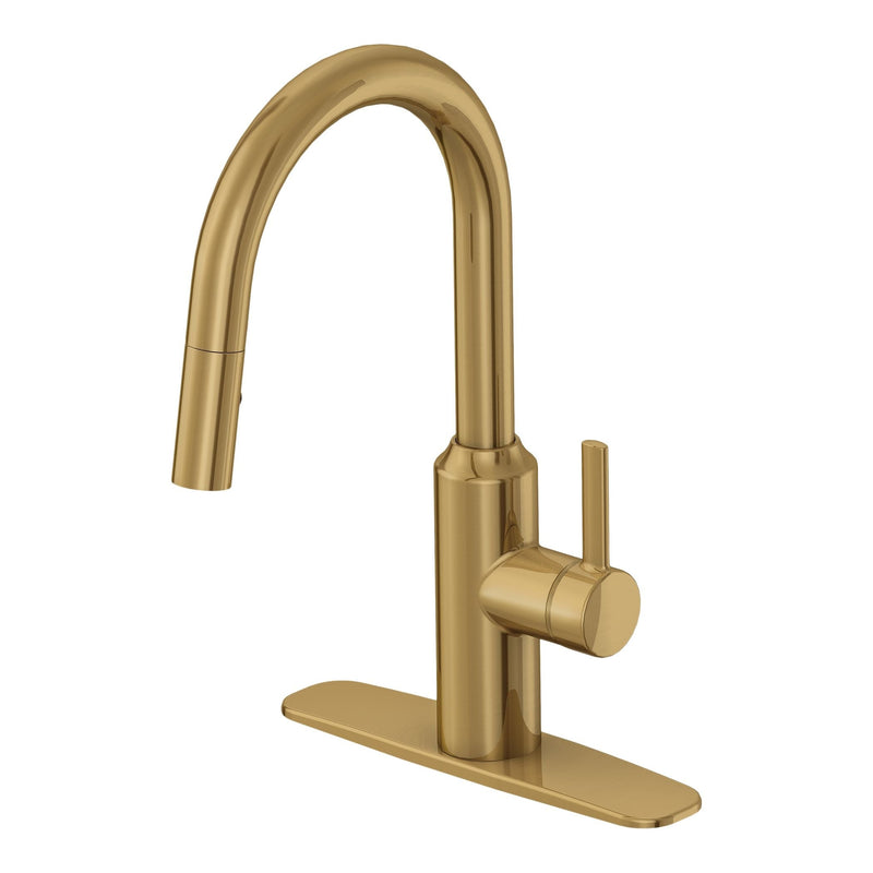 Colby Single-Handle Pull-Down Kitchen Faucet, Brushed Bronze B0T5