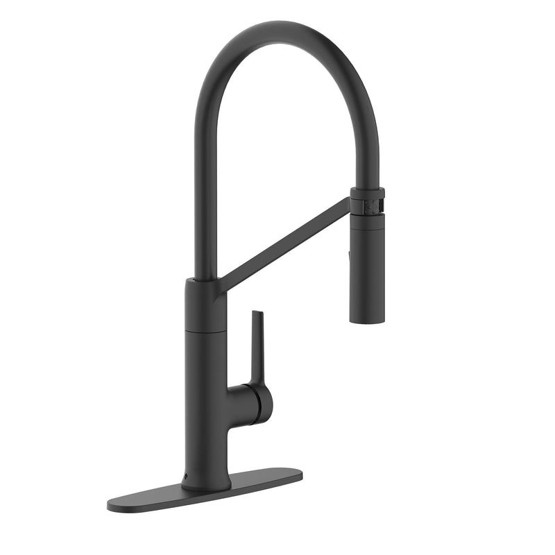 Tana 1-Handle Pull-Down Kitchen Faucet N9A9