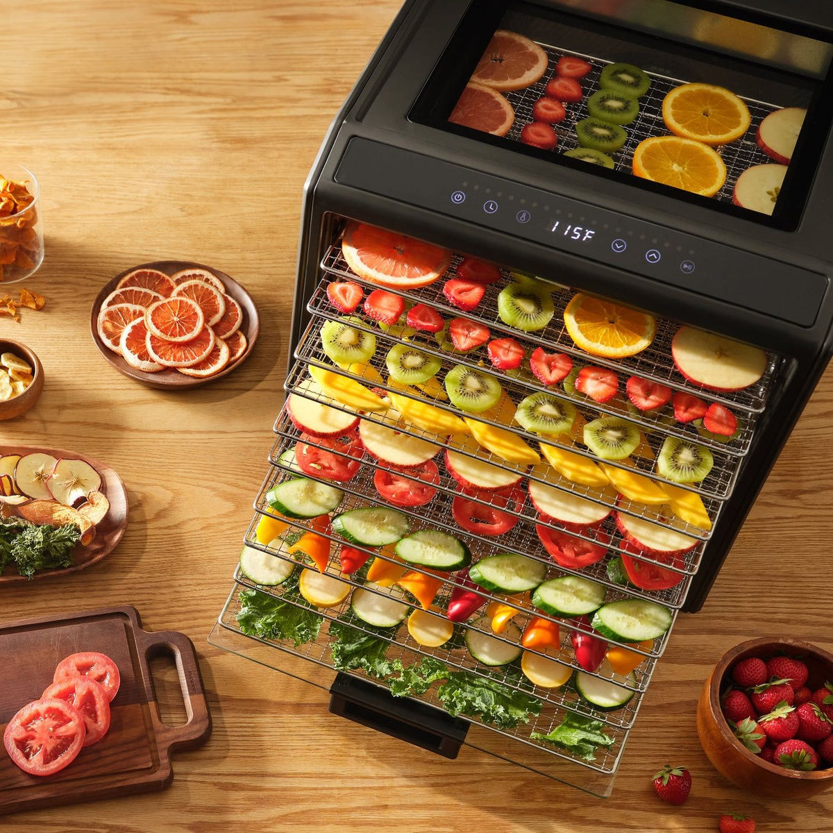 Performance Series 10-Tray Food Dehydrator, Steel, 700W, Stainless Steel, Black T5U1 - product image 7