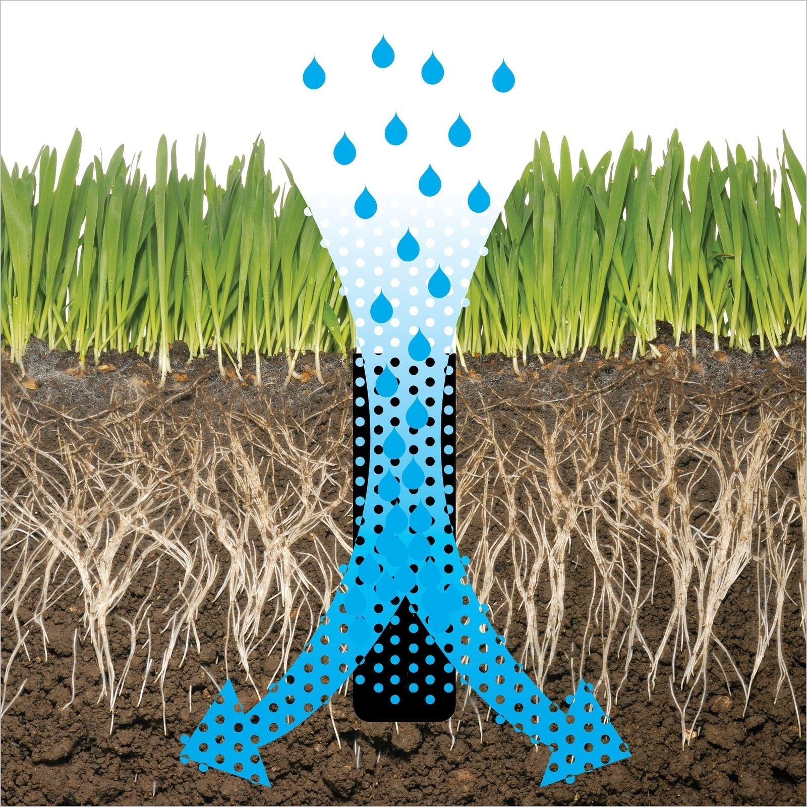 Heavy-Duty Two-Prong Extended Reach Steel Coring Aerator with T-Handle, 38-in N0O8 - product image 3
