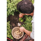 Xact Trowel O4P1 - product image 5