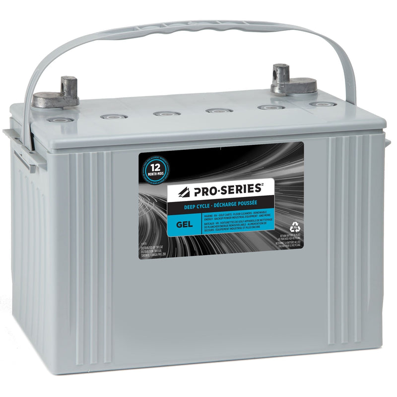 PRO-SERIES Group Size 45 Small Engine Battery, 485 CCA C6W9