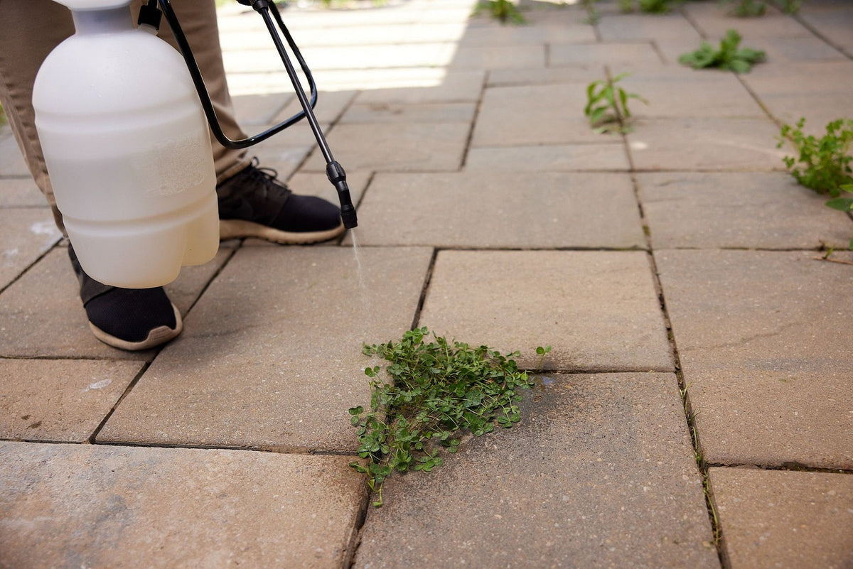Non-Selective Herbicide Grass & Weed Control Killer Concentrate, 1-L E6J1 - product image 5