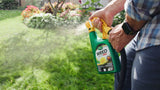 Weed B Gon MAX Ready-to-Spray Weed Control/Killer Concentrate, Herbicide for Lawns, 1-L Y2R7 - product image 5
